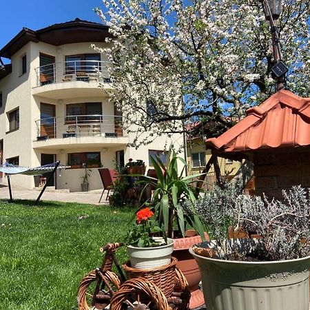 Apartament Casa Ana Cluj Zewnętrze zdjęcie