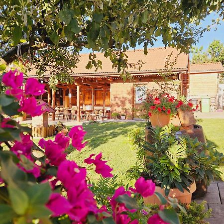 Apartament Casa Ana Cluj Zewnętrze zdjęcie