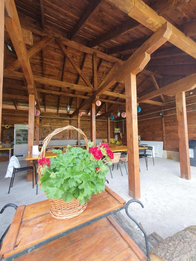 Apartament Casa Ana Cluj Zewnętrze zdjęcie