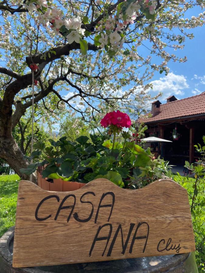 Apartament Casa Ana Cluj Zewnętrze zdjęcie