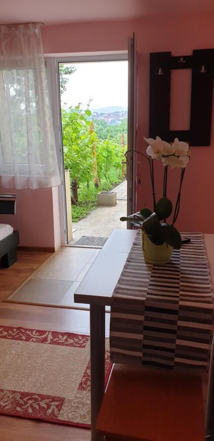Apartament Casa Ana Cluj Zewnętrze zdjęcie